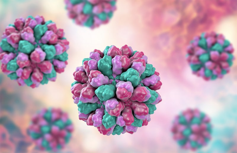 Norovirus